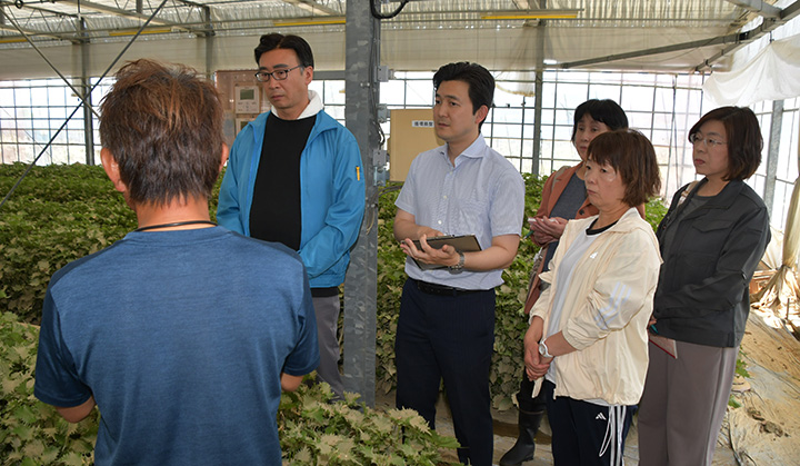 大葉栽培農家で台風の被害状況を聴く安江氏（左から3人目）ら＝4日　愛知・豊橋市