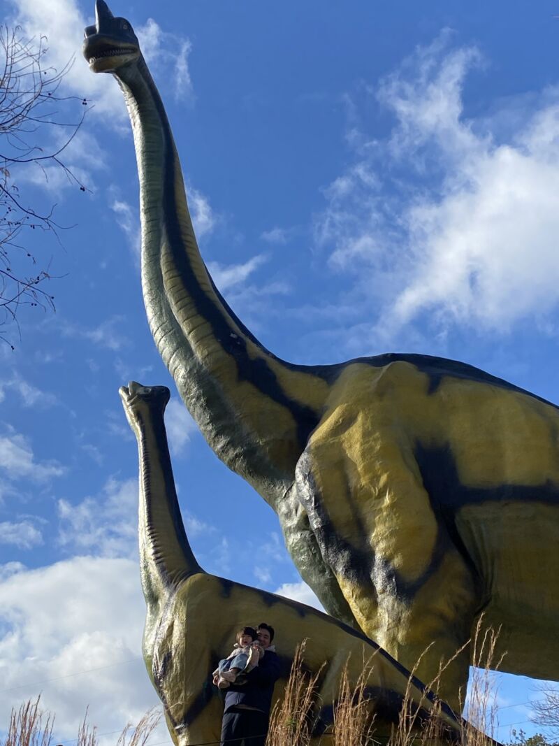 Image for the Tweet beginning: 【ラジオ放送のお知らせ】

「安江のぶおのRADIO SMILE！」　
毎週月曜20時20分～20時30分　
＠東海ラジオさんで放送中📻

本日（3月9日）は先週に引き続き、豊橋総合動植物公園の伊藤公園長をゲストにお迎えして「#のんほいパーク」についてご紹介します🦁

ラジコでもOKです✨
ぜひお聴きください❗️ 